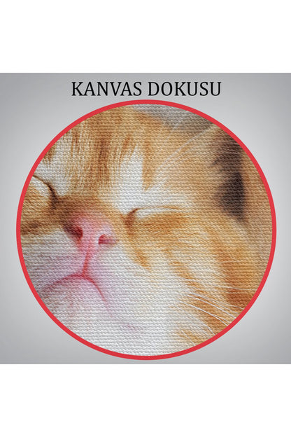 arg001 seri Yavru Kedi Dekoratif Kanvas Tablo 1125