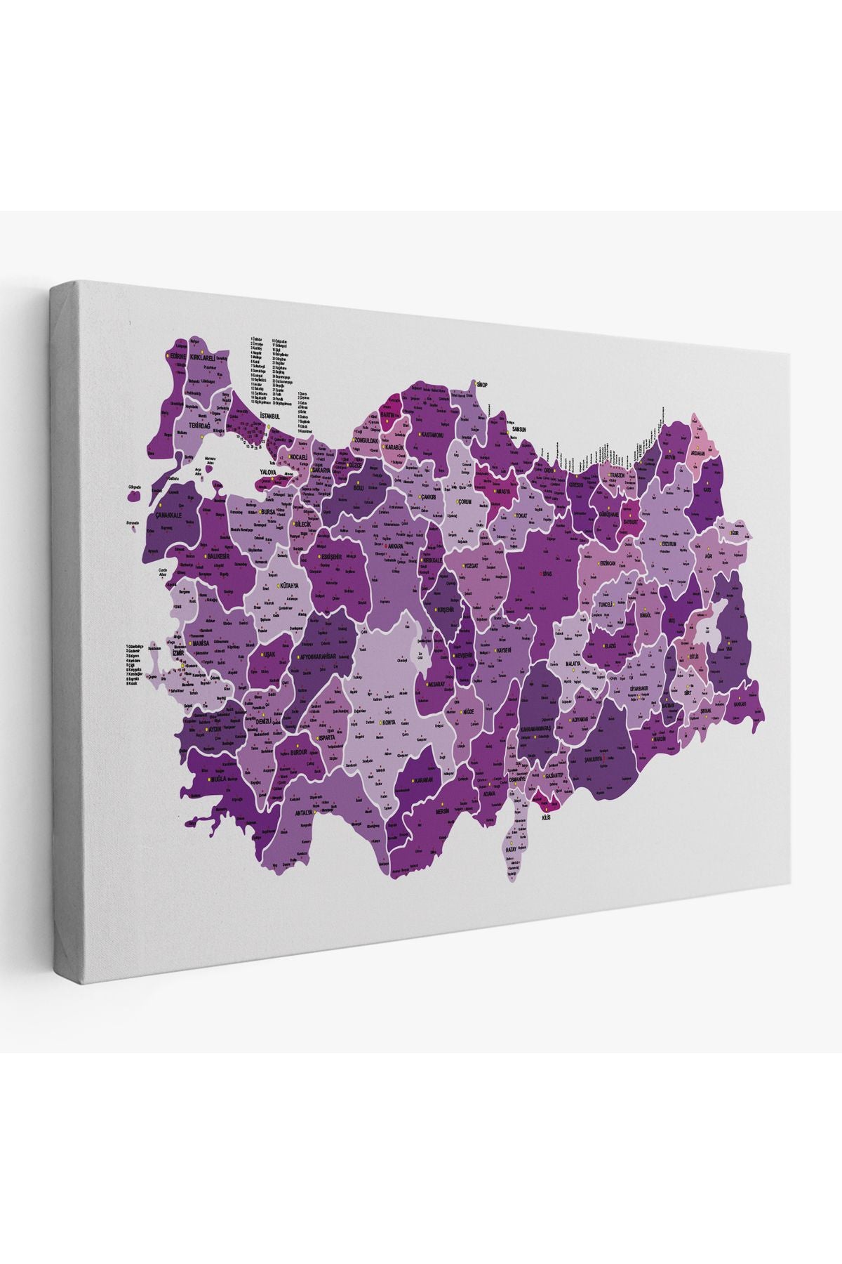 Türkiye Haritası Kanvas Tablo İl ve İlçeli Ayrıntılı Eğitici Dekoratif Tablo 3025