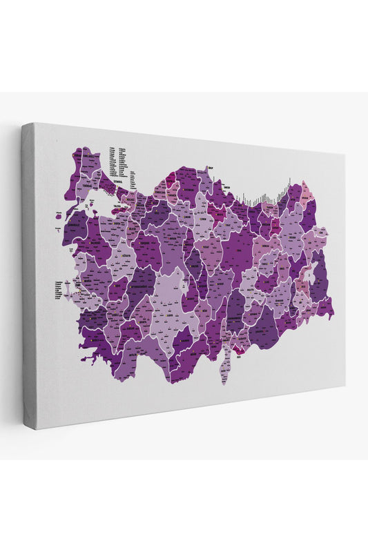 Türkiye Haritası Kanvas Tablo İl ve İlçeli Ayrıntılı Eğitici Dekoratif Tablo 3025