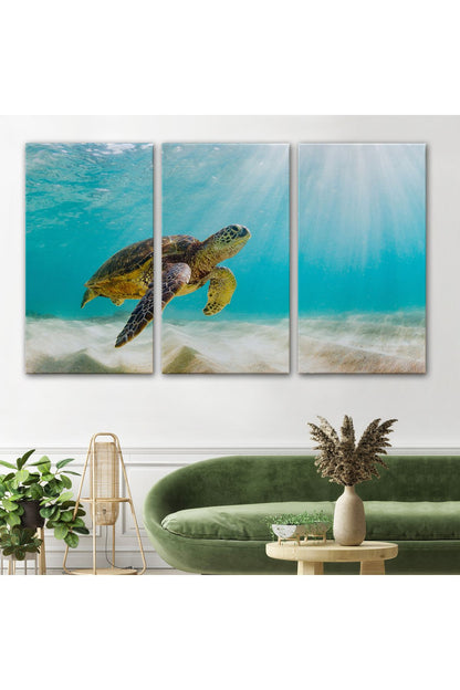 Caretta Caretta Dekoratif Kanvas Tablo 1174