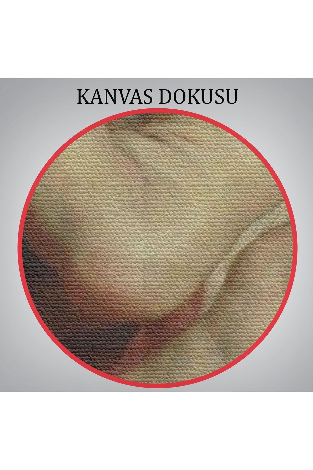 Peter Paul Rubens The Rape of Leucippus' Daughters Kanvas Tablo -5880