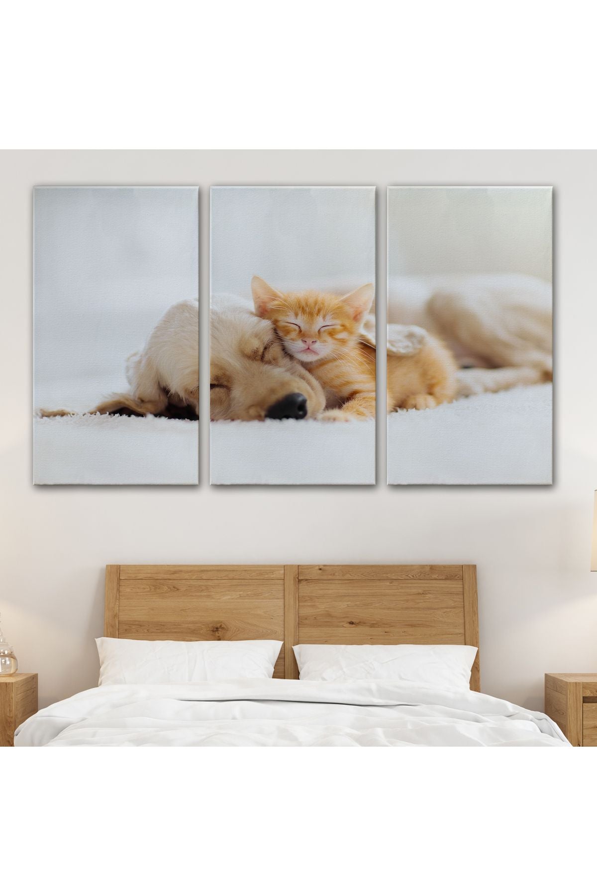 Golden Köpek İle Uyuyan Yavru Kedi Dekoratif Kanvas Tablo 1176