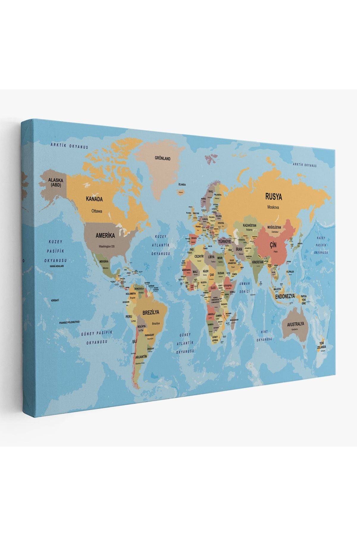 Türkçe Dünya Haritası Ülke Başkentli ve Okyanuslu Dekoratif Kanvas Tablo 2228