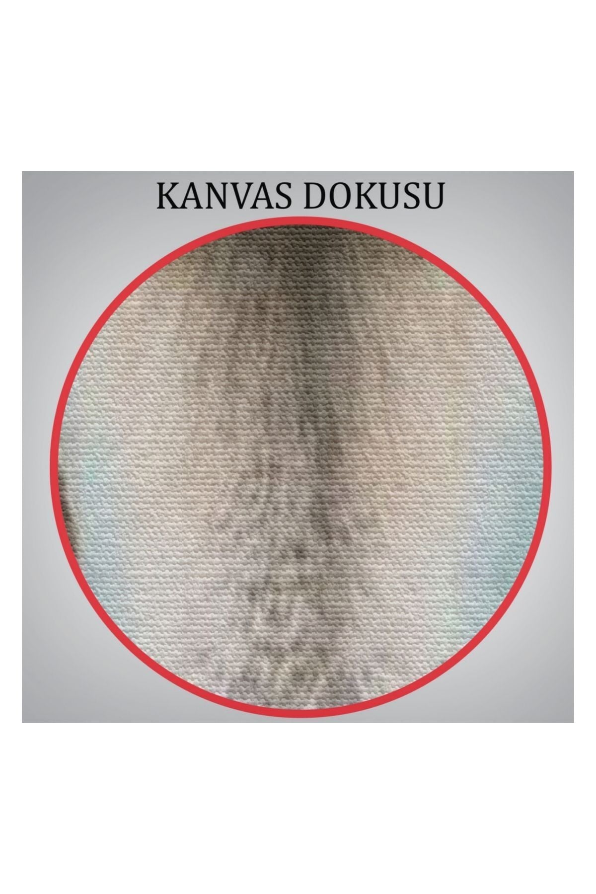 Kanvas Tablo, Duvar Dekoru, İnsan Görünümlü Deve Kuşu 6286 BUNGKNV