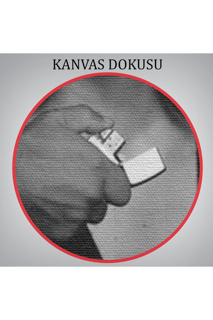 Lana Del Rey Dekoratif Duvar Tablosu-6372