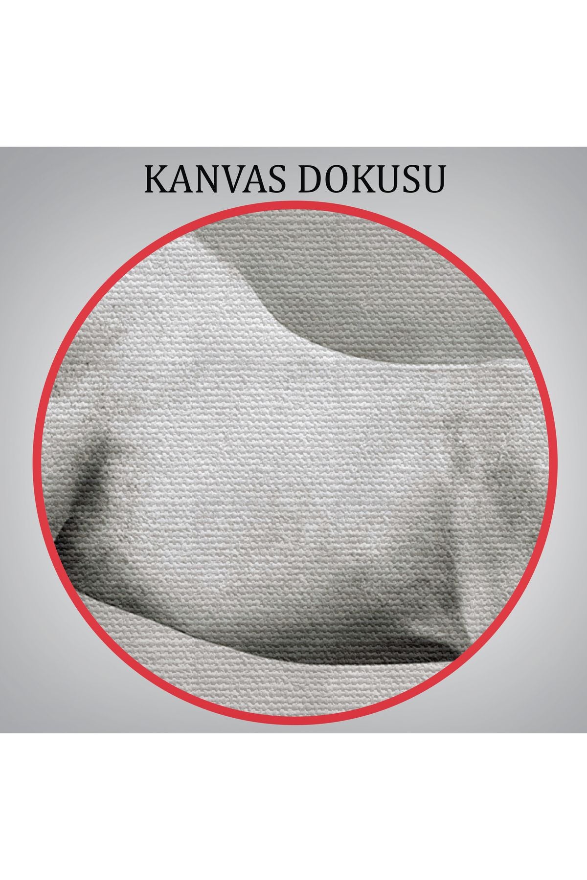 Özel Tasarım, Dekortif BaskıÇöldeki Beyaz At Tablosu-6598