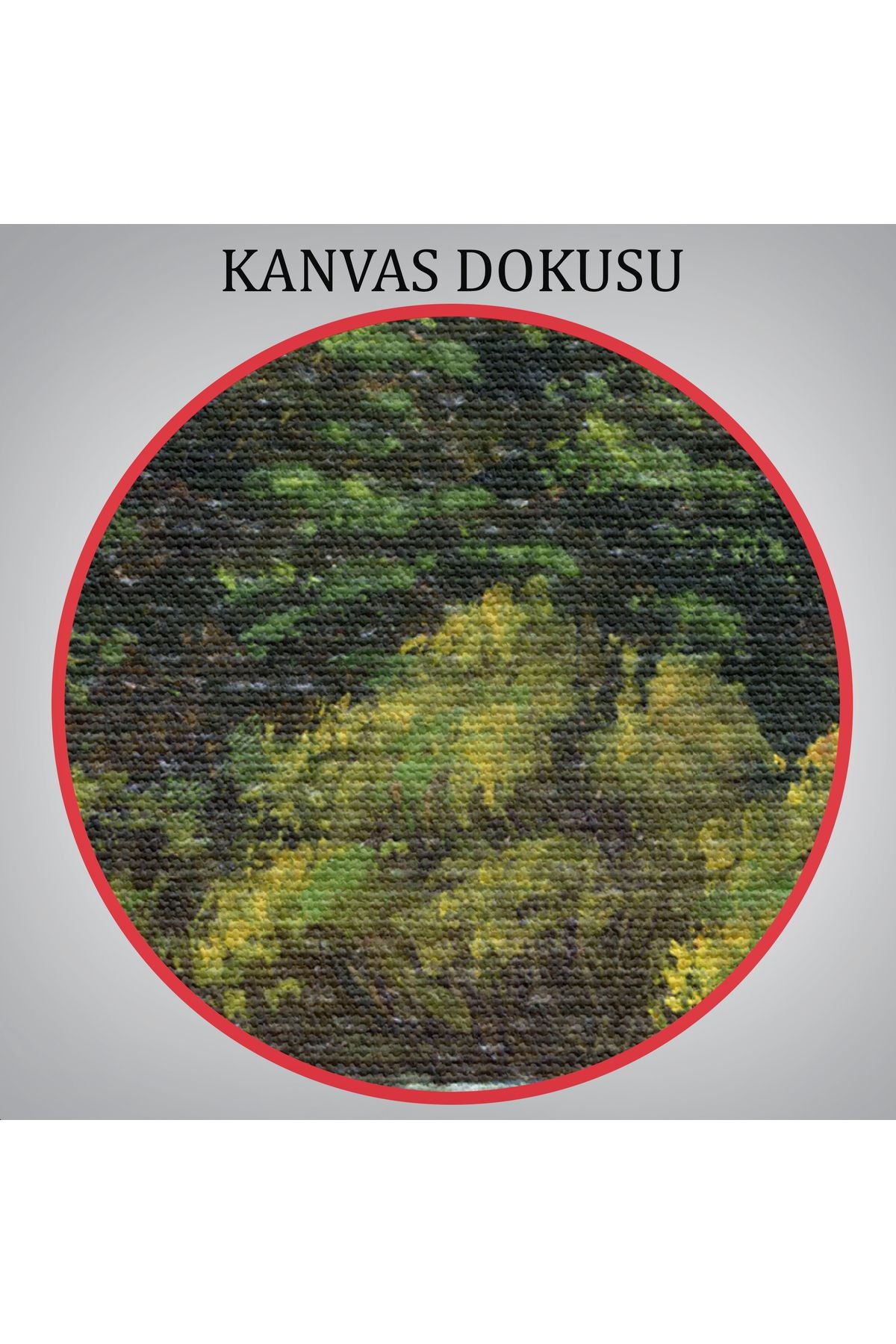 Ormandan Akan Akarsu Tablo-5973