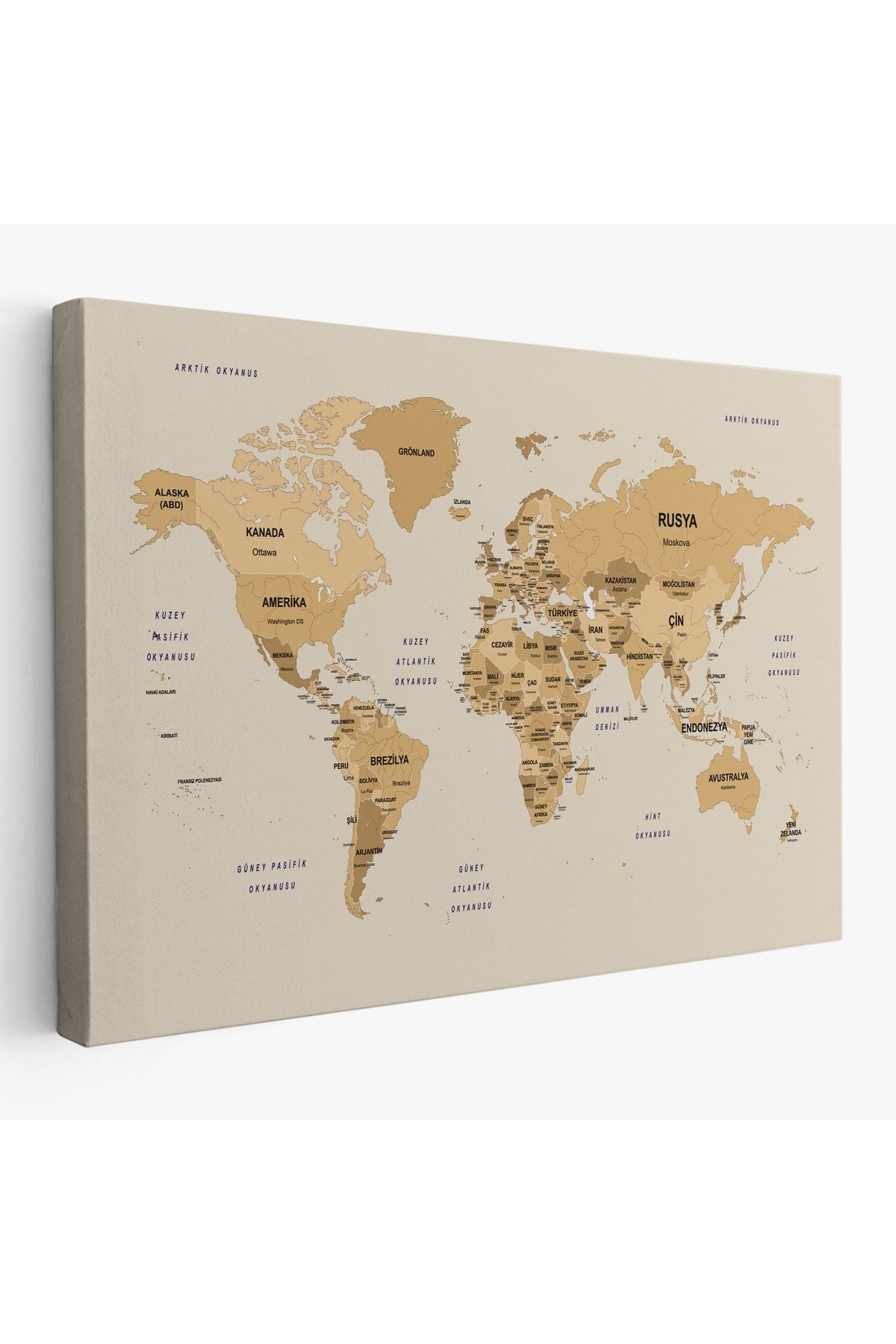 Türkçe Dünya Haritası Kanvas Tablo Ülke Başkent Detaylı ve Dekoratif 2618