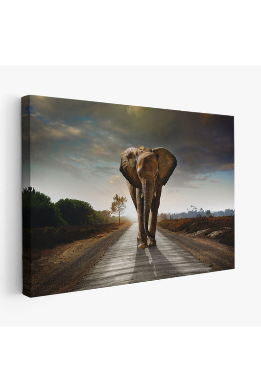 Fil Dekoratif Kanvas Tablo 1118