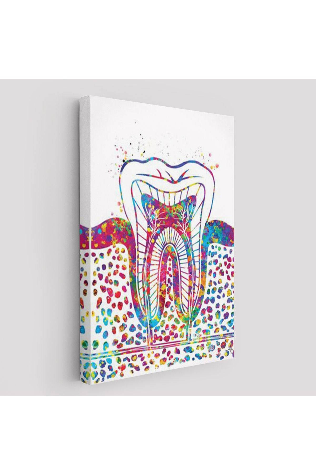 Renkli Diş, Diş Hekimi Duvar Tablosu-6300
