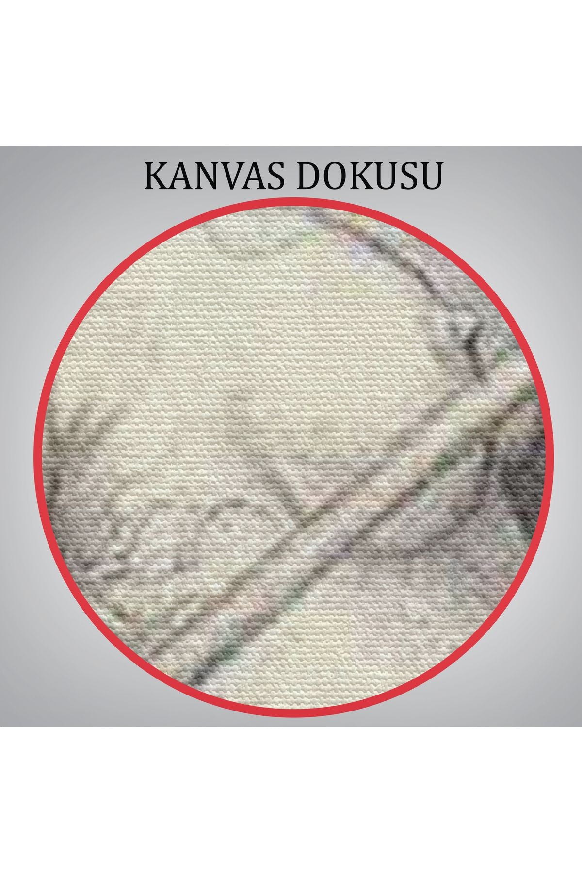 Şabat'a Cadı Uçuşu, Vintage Cadılar Bayramı, Wiccan Tuhaflıkları Kanvas Tablo-5284