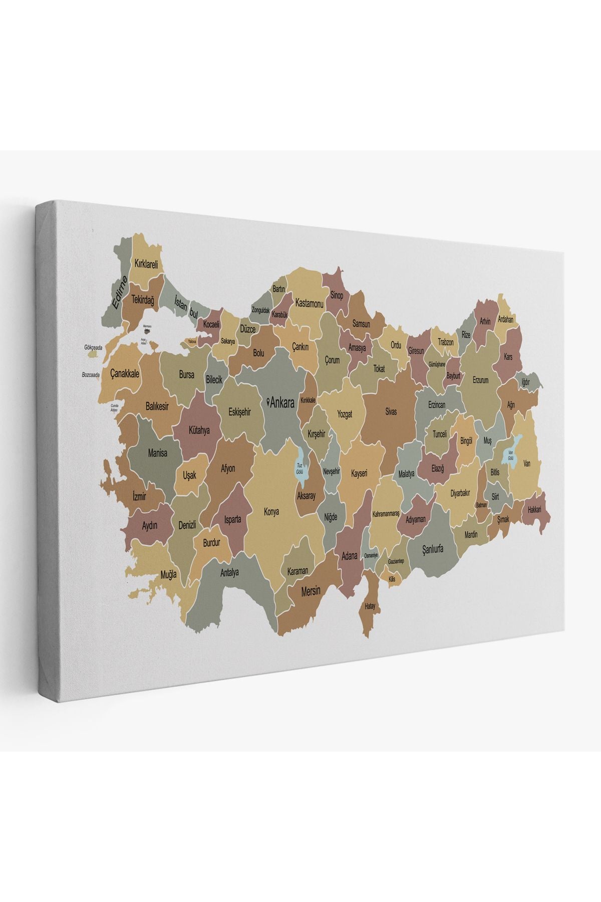 Türkiye Haritası Kanvas Tablo Eğitici ve Öretici Dekoratif Tablo Tablo 3134