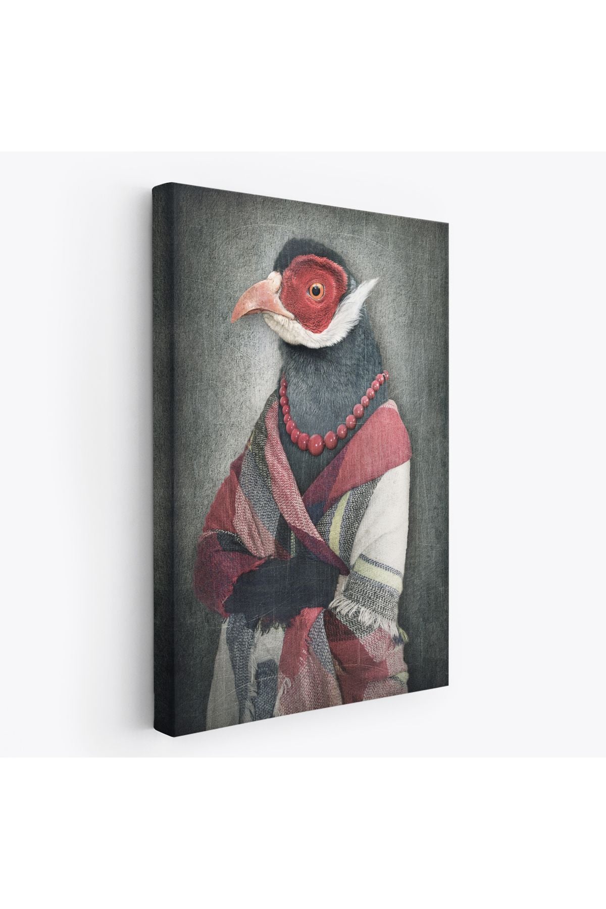 Kuş Kafalı İnsan Kanvas Tablo-4992