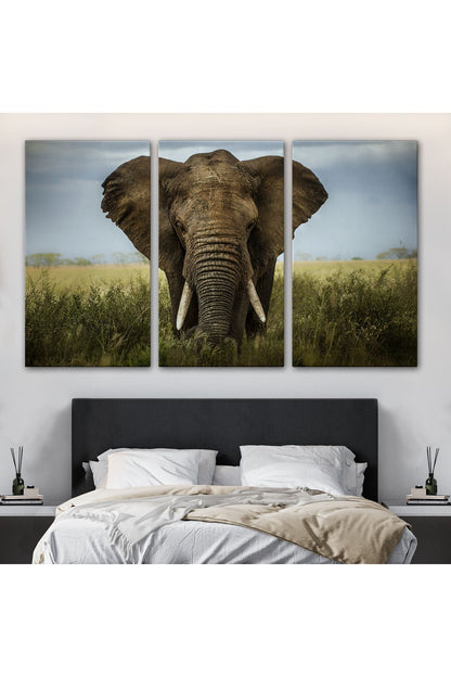 Fil Dekoratif Kanvas Tablo 1121