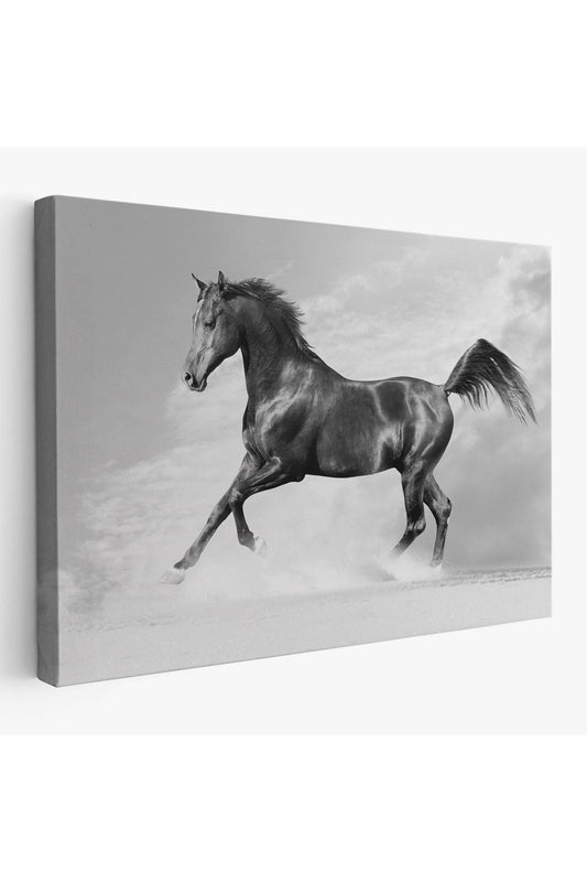 Dekoratif Kanvas Tablo, Duvar Tablosu-Asil Siyah At 6623