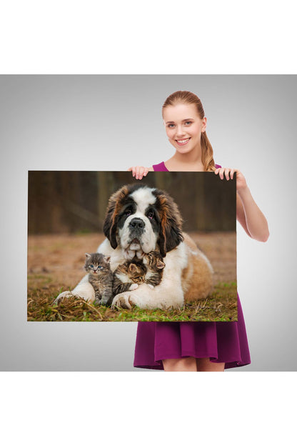 YB St. Bernard Köpek ve Yavru Kediler Dekoratif Kanvas Tablo 1124