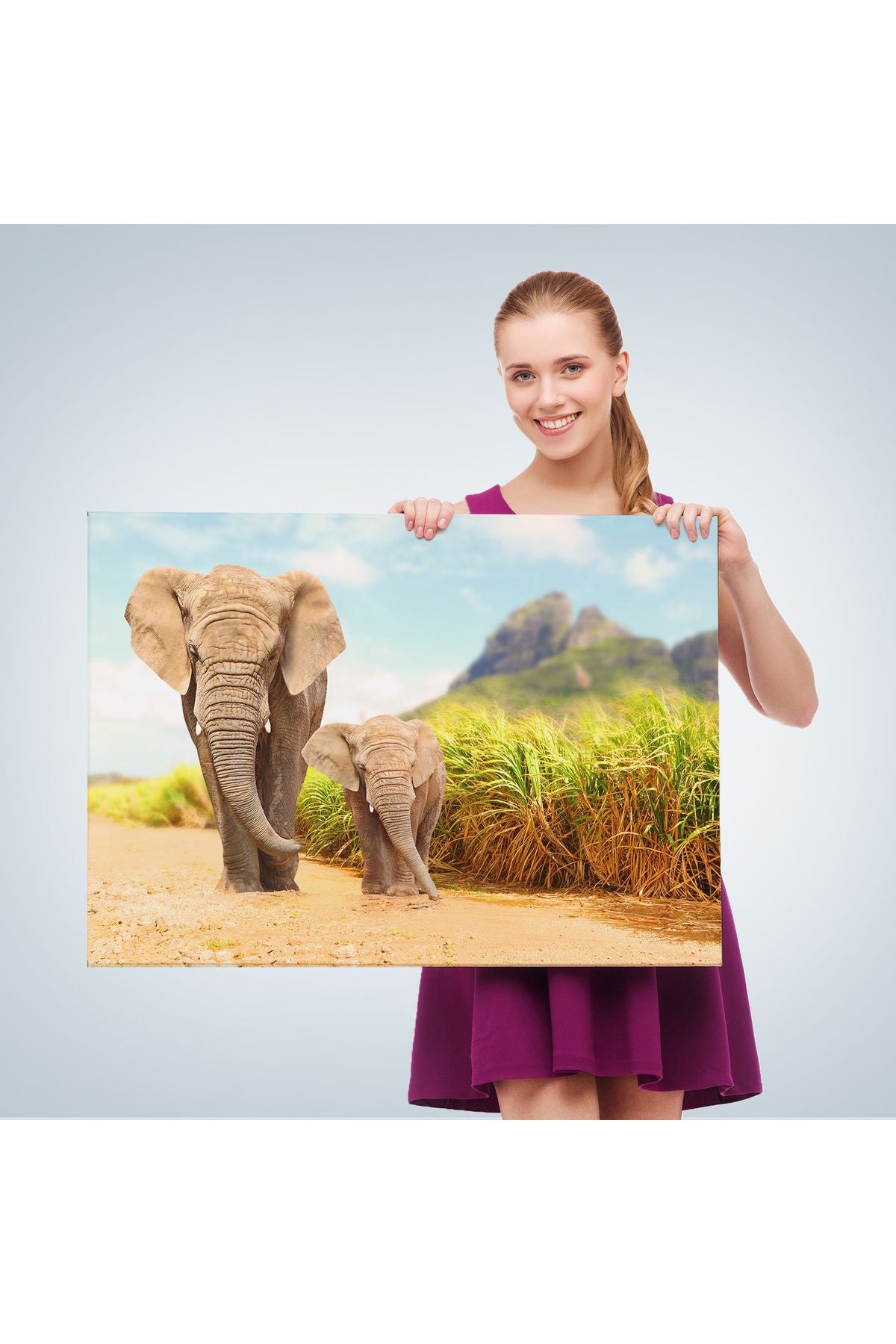 Fil ve Yavrusu Dekoratif Kanvas Tablo 1144