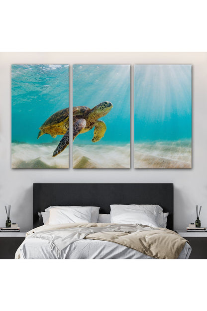 Deniz Kaplunbağası Dekoratif Kanvas Duvar Tablosu-3662