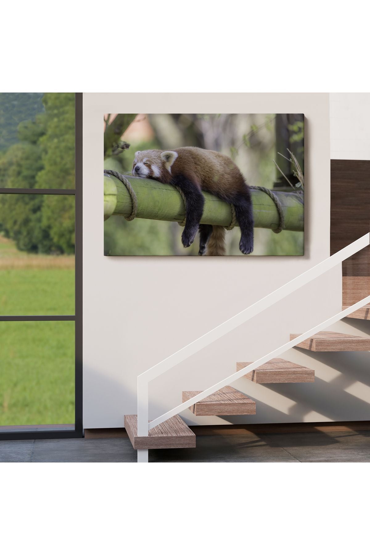 Kırmızı Panda Dekoratif Kanvas Tablo 1140