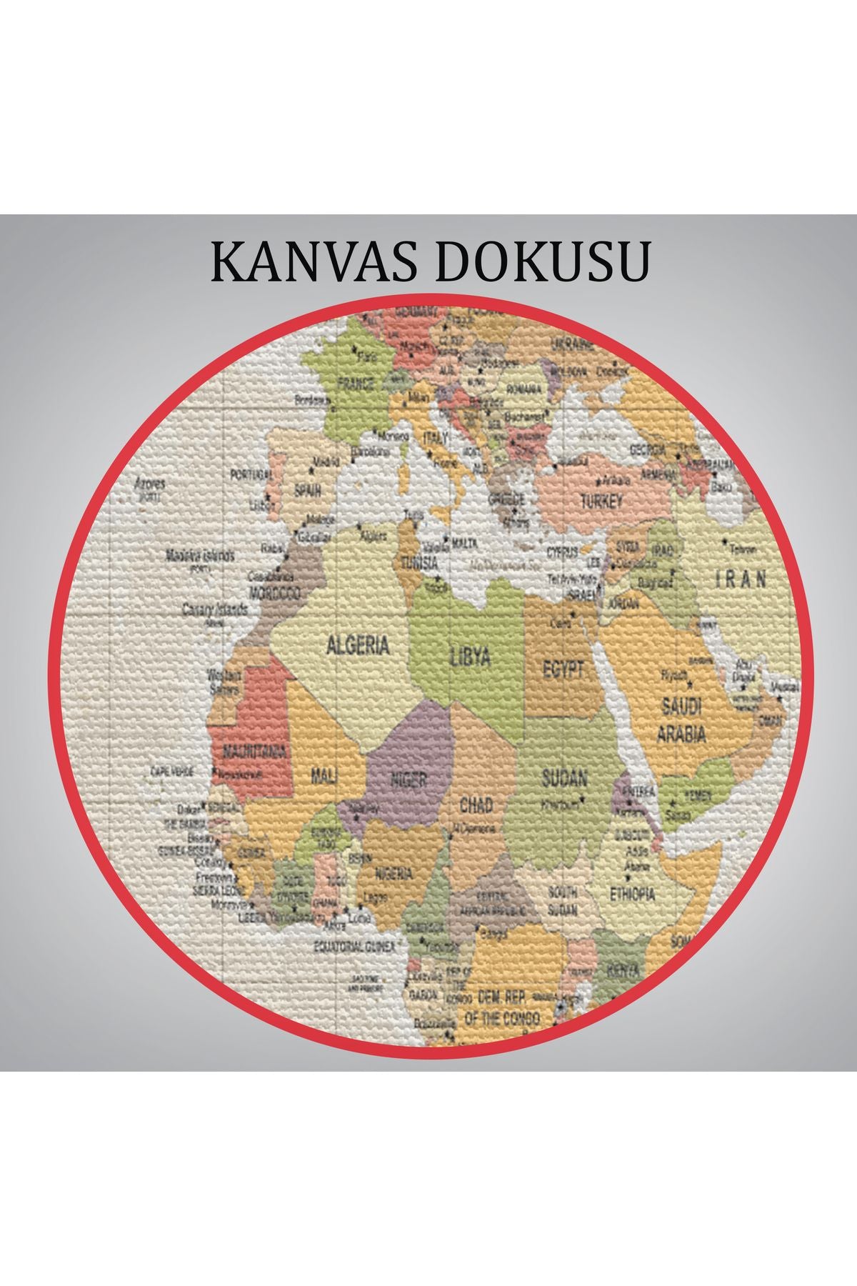 Dünya Haritası Dekoratif Kanvas Tablo 1078