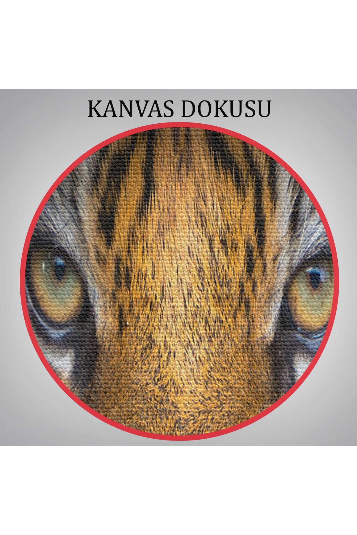 DB Kaplan Gözleri Dekoratif Kanvas Tablo 1161