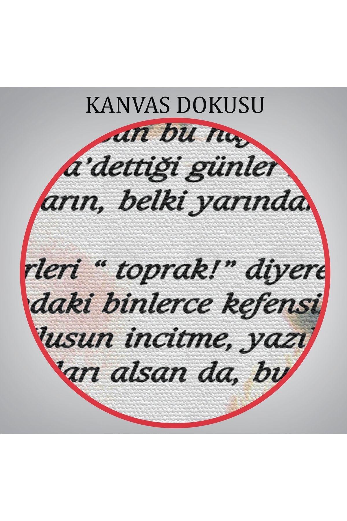 DB İstiklal Marşı Dekoratif Duvar Tablosu-6466