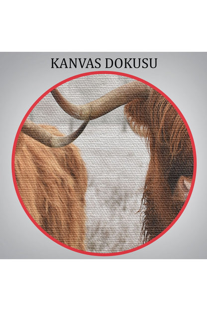 İskoçya Sığırları Dekoratif Kanvas Tablo 1150