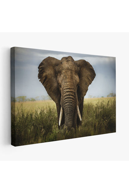 Fil Dekoratif Kanvas Tablo 1121