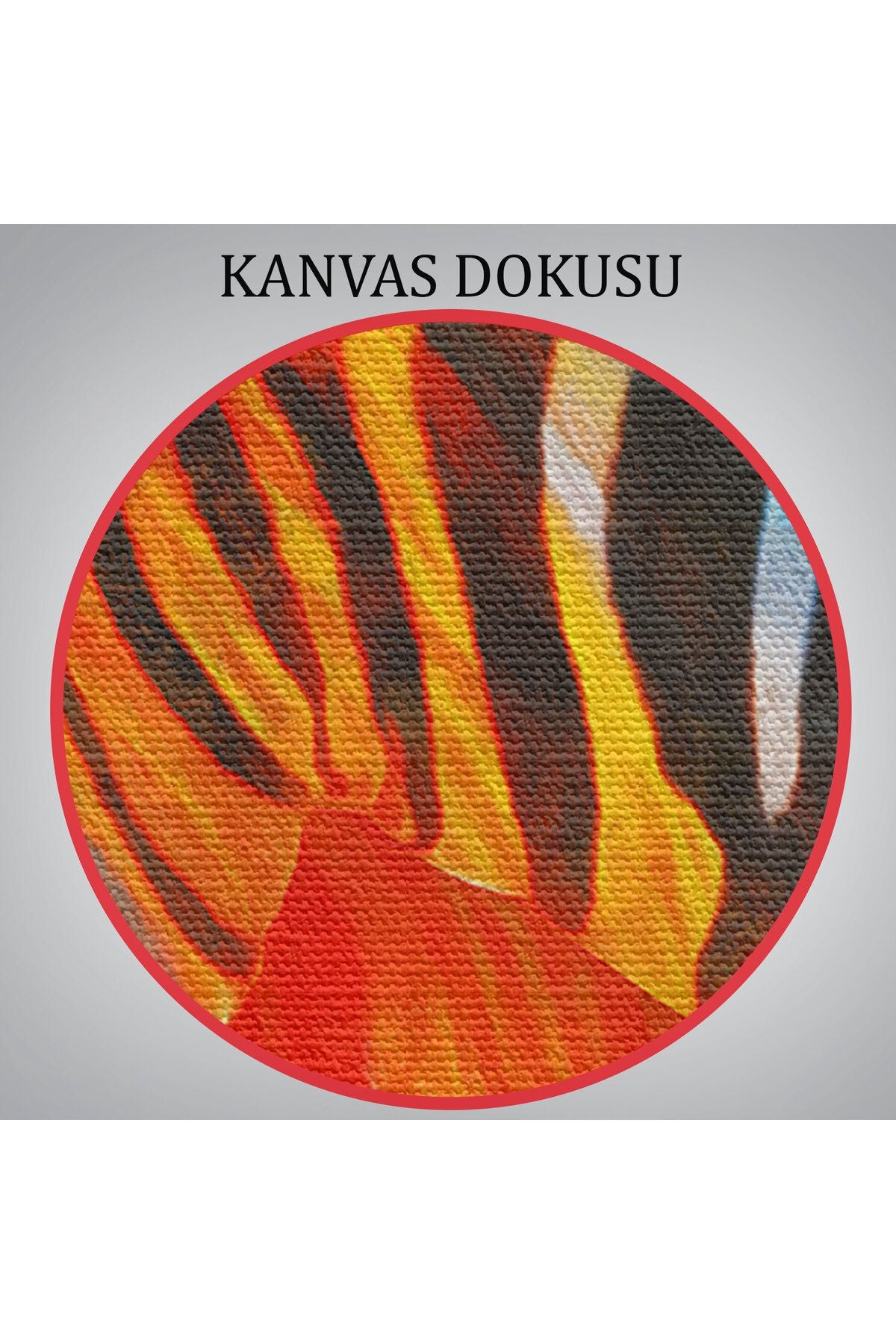 Renkli Zebra Yağlıboya Görünüm Dekoratif Kanvas Duvar Tablosu-5843