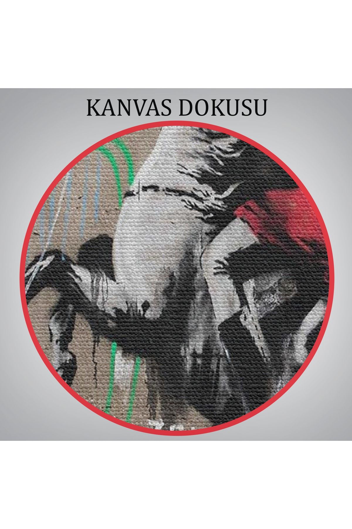 Banksy Napolyon Geçişi Alpler Kanvas Tablosu-5094