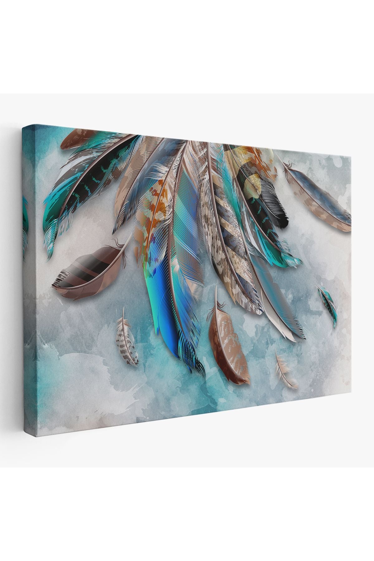 DB Kuş Tüyü Dekoratif Kanvas Duvar Tablosu -3423