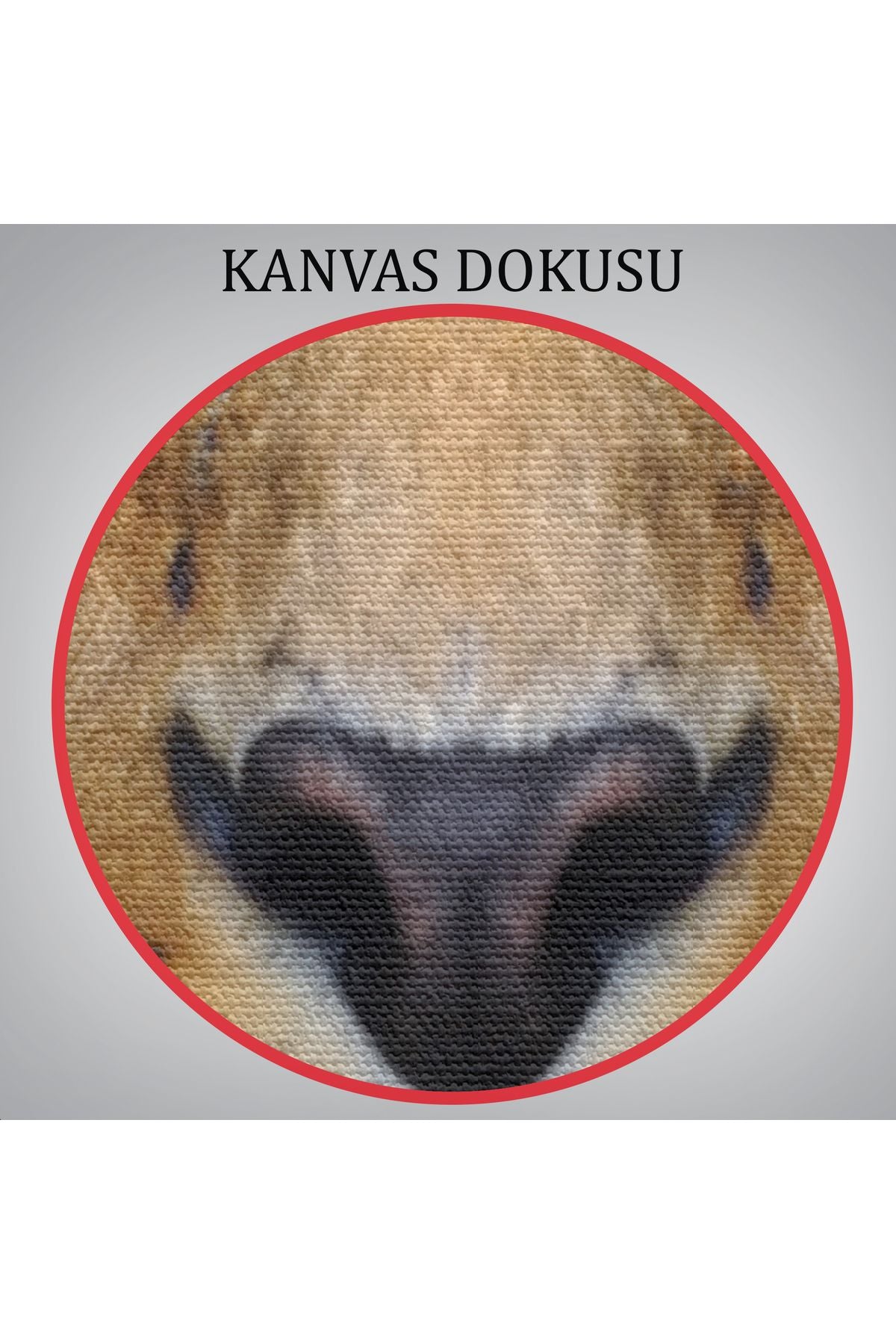 Tshp seri001 Leopar Dekoratif Kanvas Tablo-5959