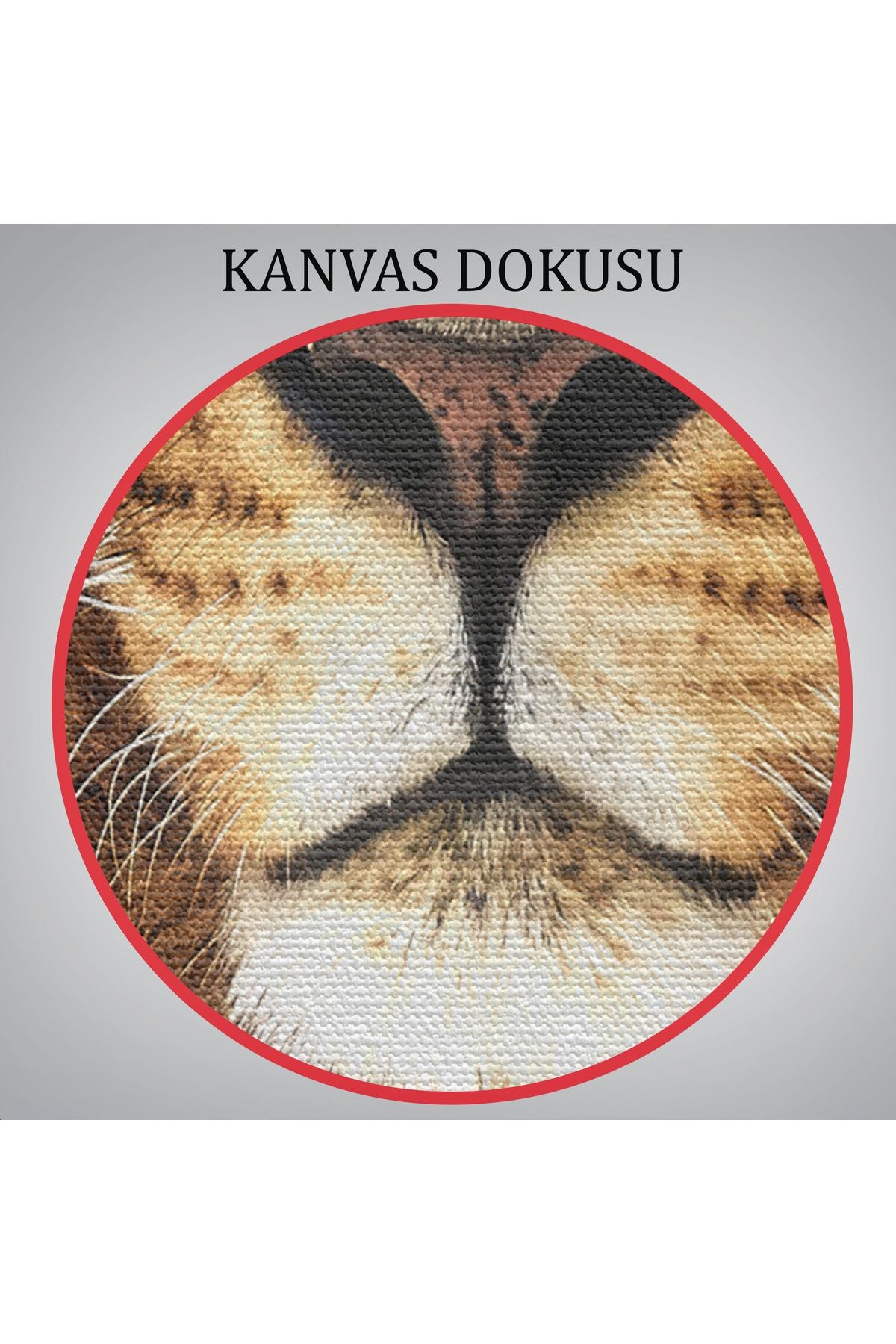Aslan Dekoratif Kanvas Tablo-5966