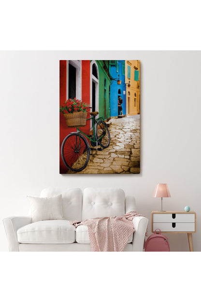 Sokaktaki Çiçekli Bisiklet Duvar Tablosu-6453