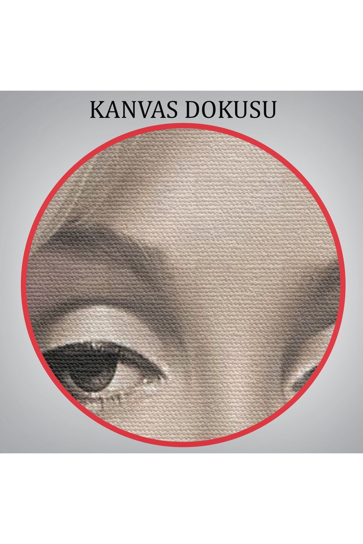 Özel Marilyn Monroe Pembe Balon Duvar Tablosu-6217