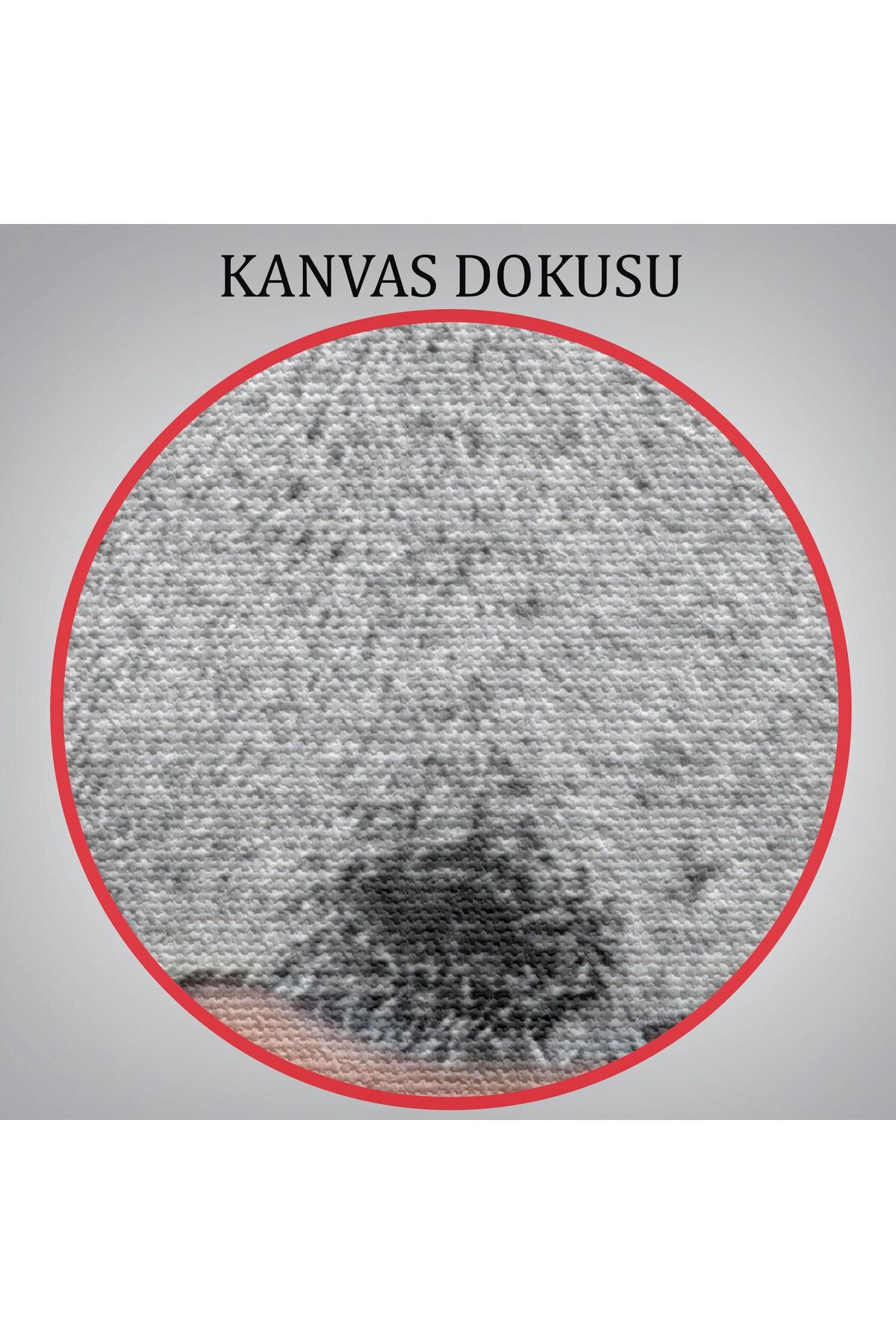 Kaplan Dekoratif Kanvas Tablo-5807