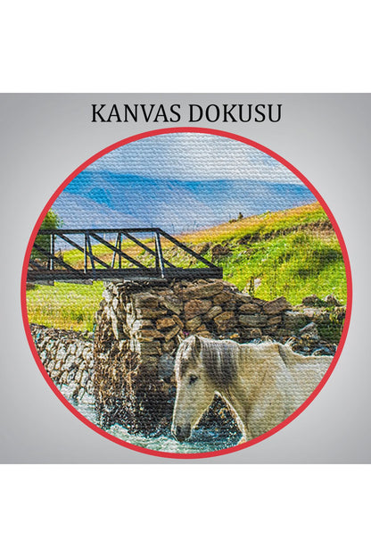 Dereden Geçen Atlar Manzaralı Dekoratif Kanvas Tablo 1169