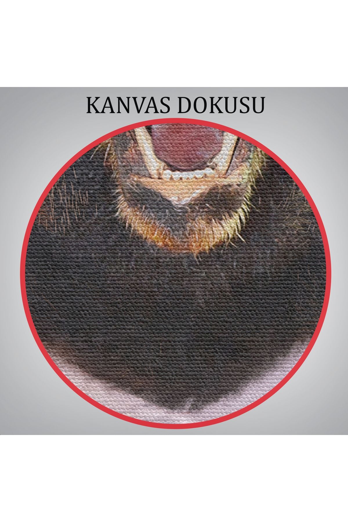 Ayı Kafalı İnsan Kanvas Tablo-4988