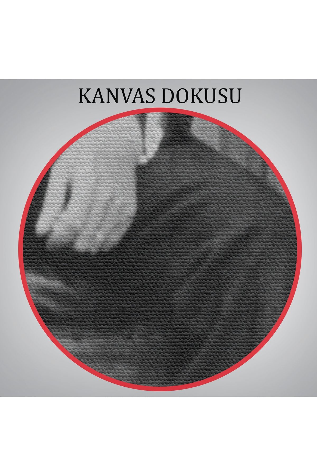 Atatürk Portre Tablosu Mustafa Kemal Atatürk Dikdörtgen Dekoratif Kanvas Tablo-CE-55