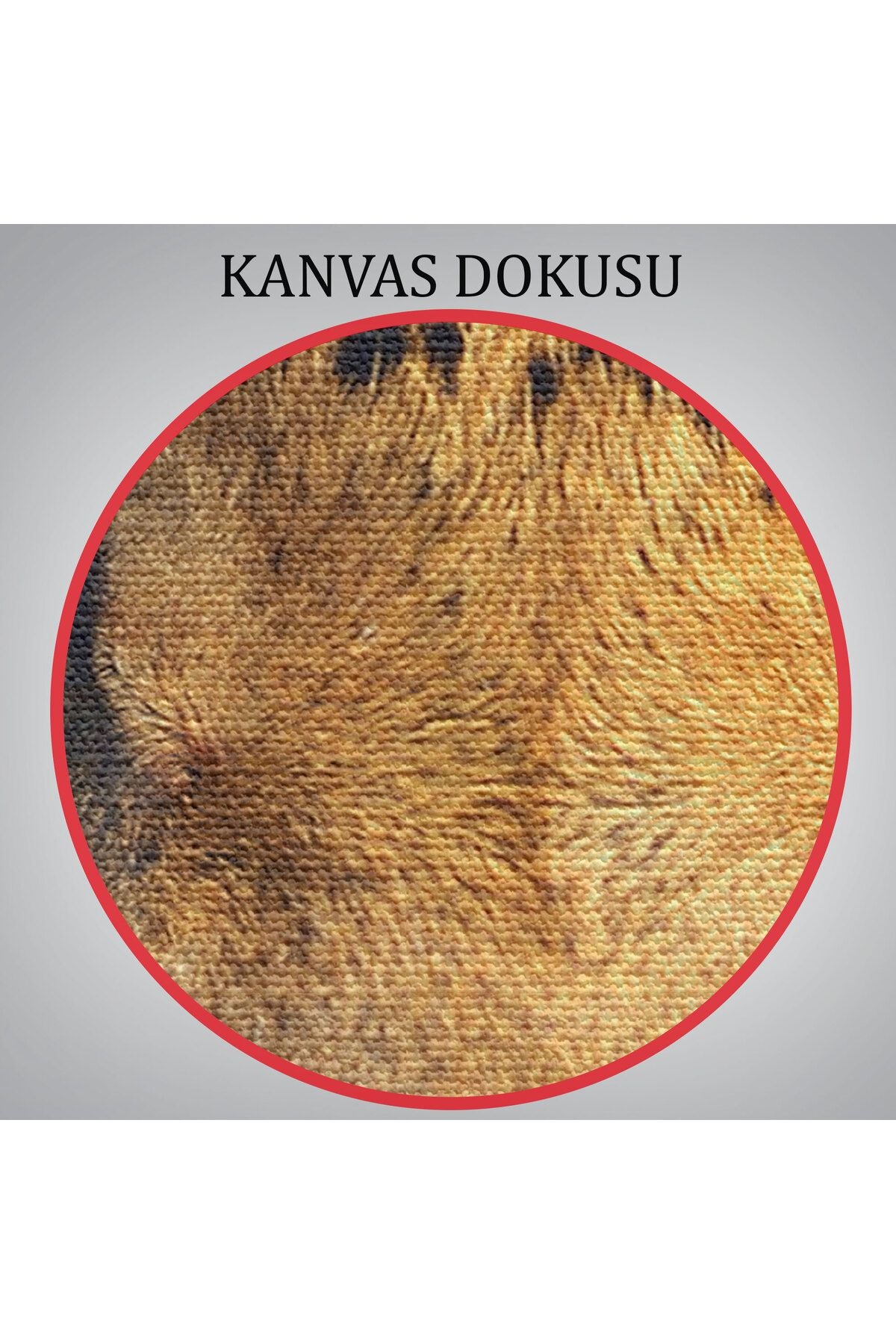 Leopar Dekoratif Kanvas Tablo-5811