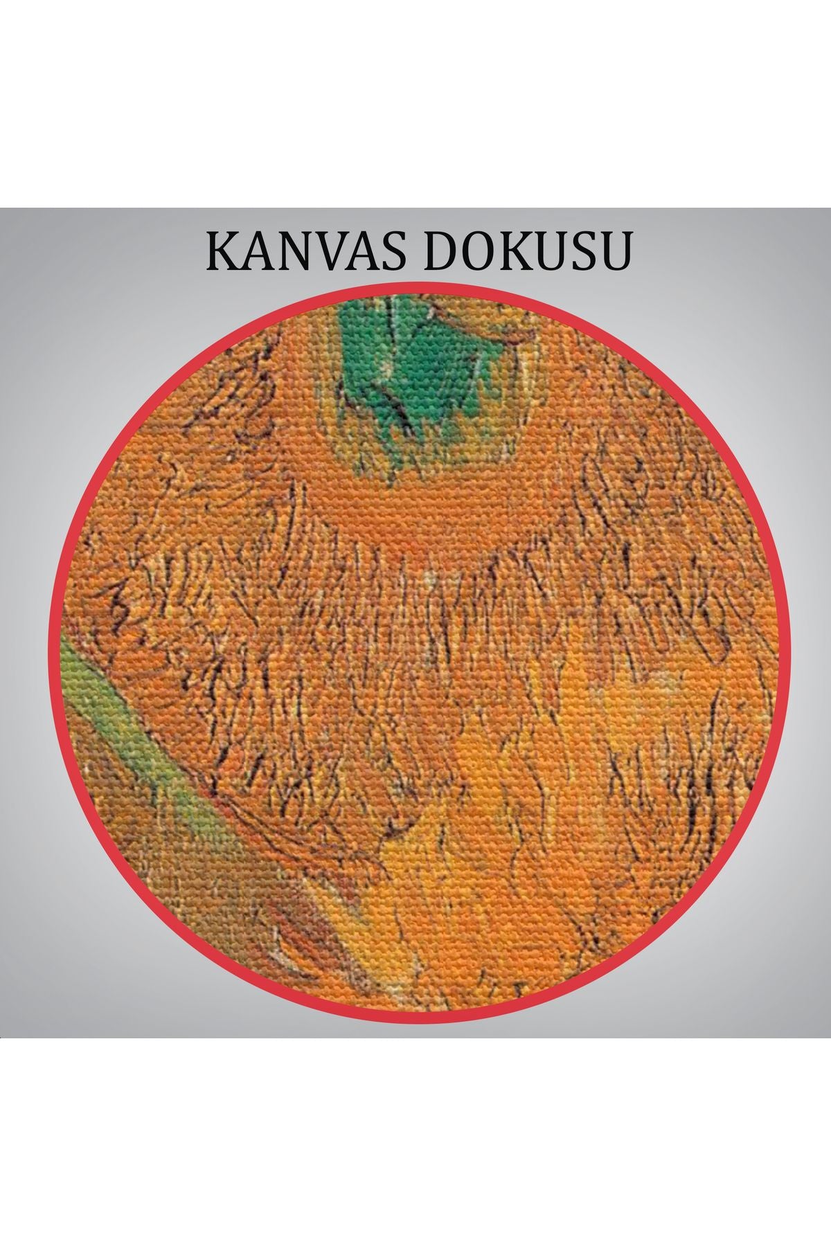 Vincent Van Gogh Ayçiçeği Tablosu-6437