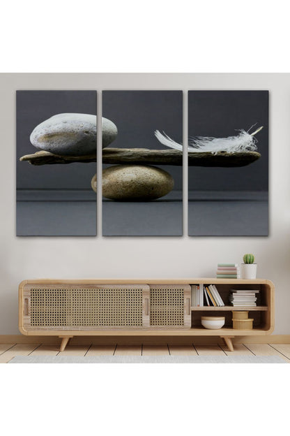 Taş ve Tüy Dengesi Tuval Duvar Sanatı, Tuval Baskı Ev Dekorasyon, Ofis Dekorasyon-5375