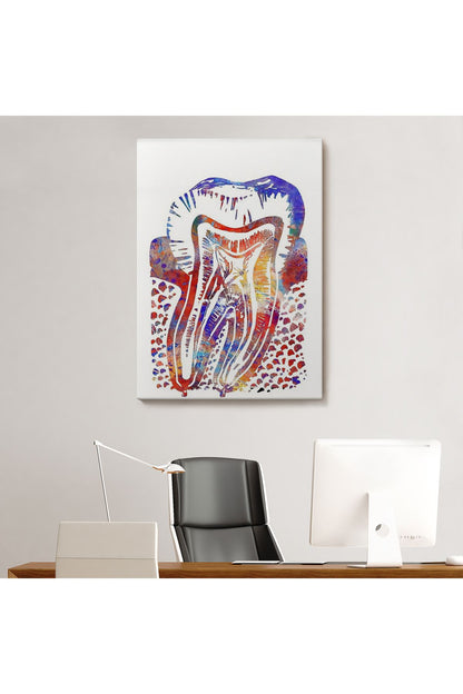 Suluboya Diş Anatomisi Tablosu-6020