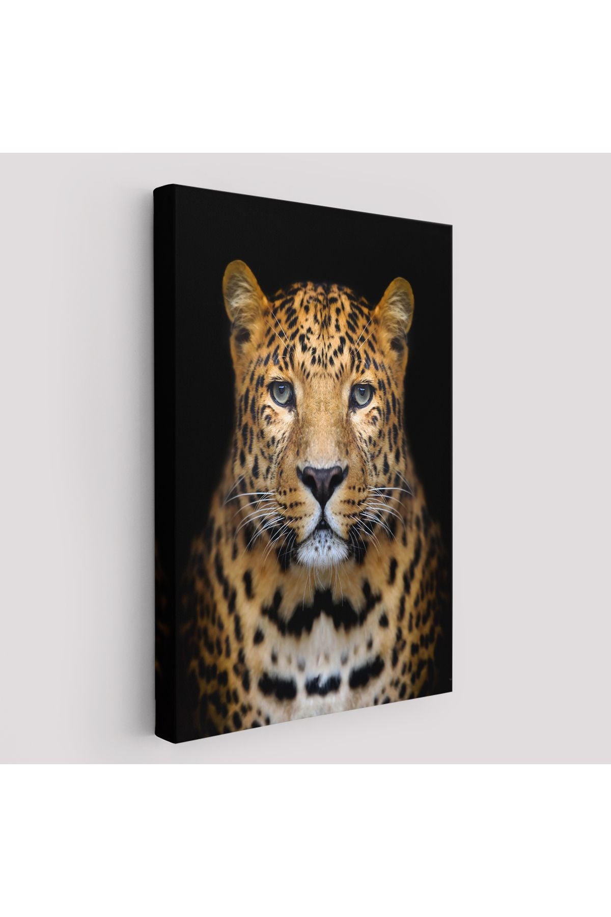 Tshp seri001 Leopar Dekoratif Kanvas Tablo-5959