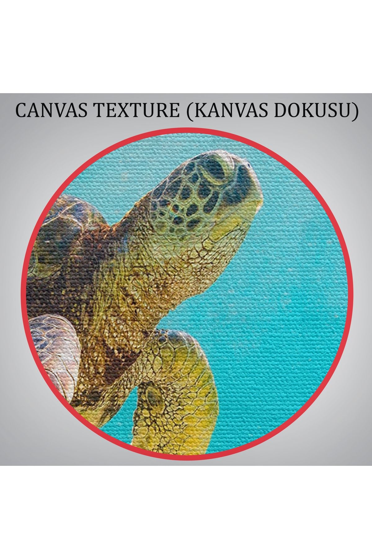 Caretta Caretta Dekoratif Kanvas Tablo 1174