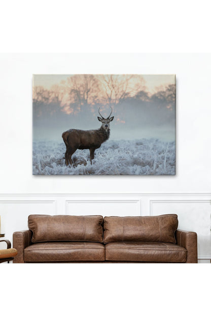 Kanvas Tablo, Duvar Dekoru, Geyik, Hayvan Temalı 1166 BUNGKNV