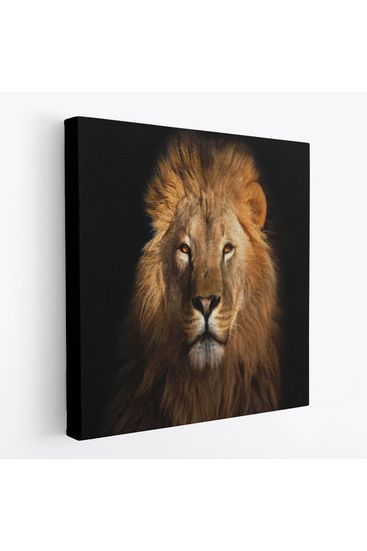 Aslan Dekoratif Kanvas Tablo-5847
