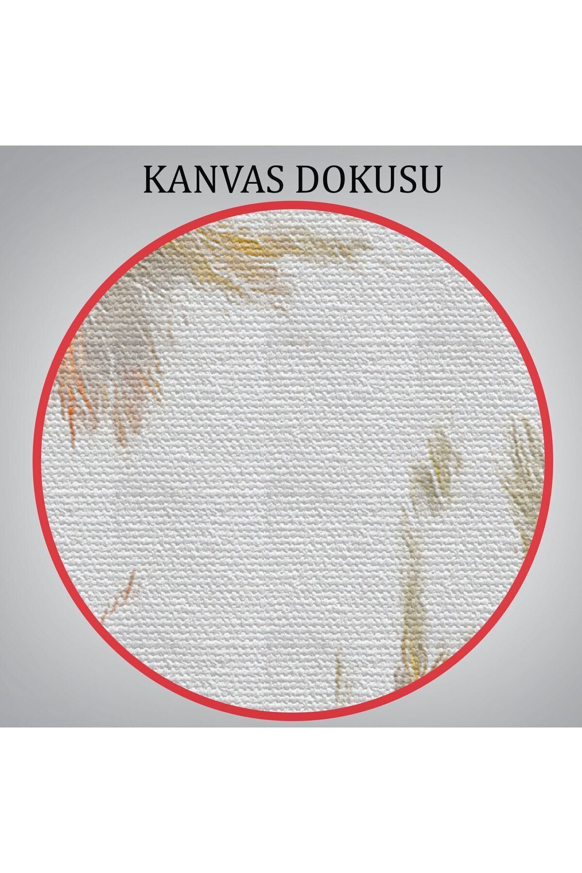 Yağlı Boya Kartal Kanvas Tablo-5909