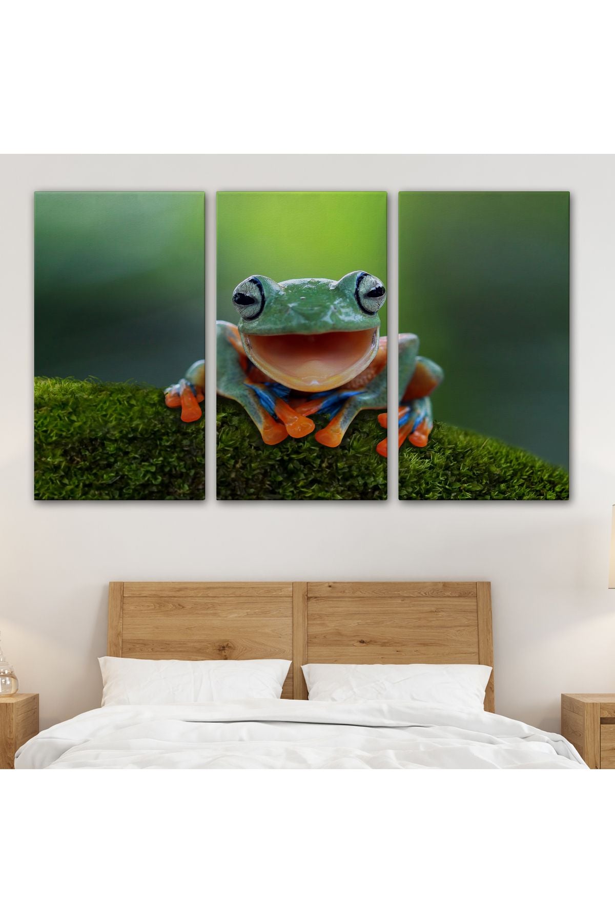 Renkli Gülen Kurbağa Dekoratif Kanvas Tablo 1149