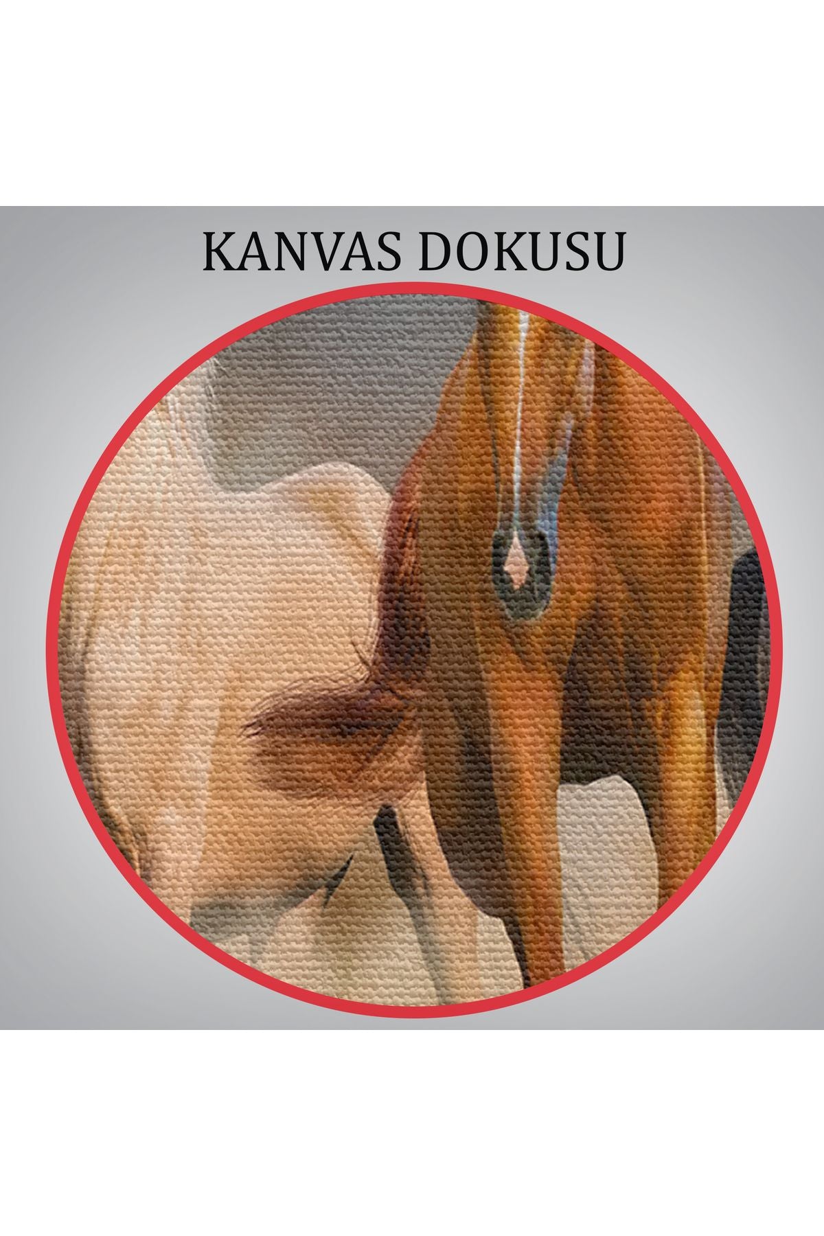 Koşan Atlar Dekoratif Kanvas Tablo 1126